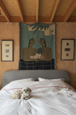 Self-build house on Kenworthy Road, Homerton, Hackney Alexander Hills Architects