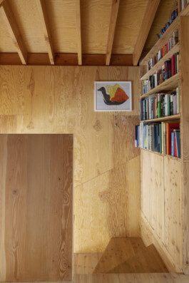 Self-build house on Kenworthy Road, Homerton, Hackney Alexander Hills Architects