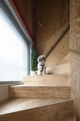 Self-build house on Kenworthy Road, Homerton, Hackney Alexander Hills Architects