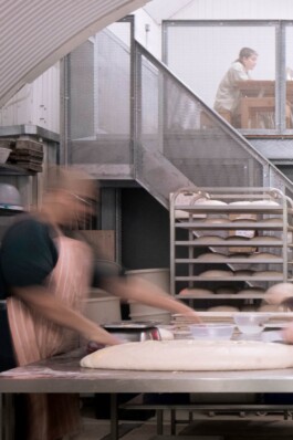 Alexander Hills Architects