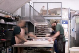 Alexander Hills Architects